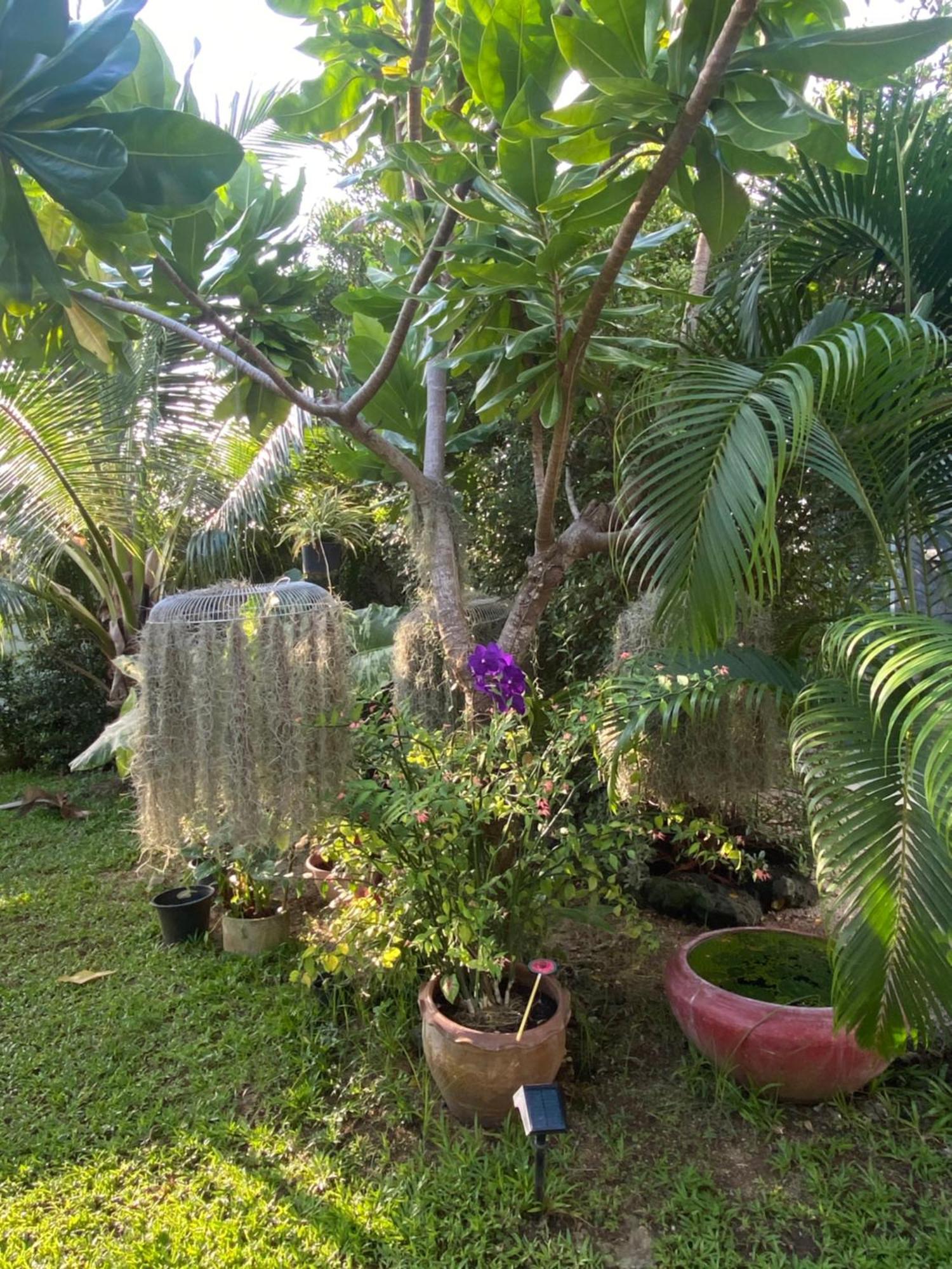 Phangan Hometown Resort - Adults Only Ban Tai Exterior foto