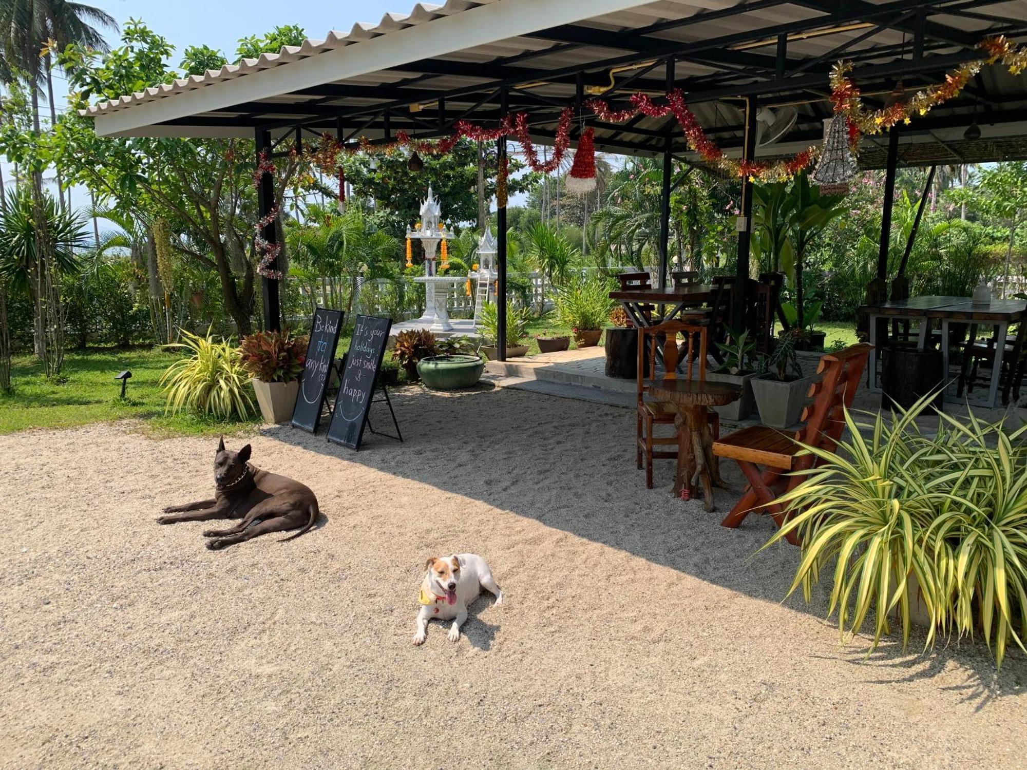 Phangan Hometown Resort - Adults Only Ban Tai Exterior foto